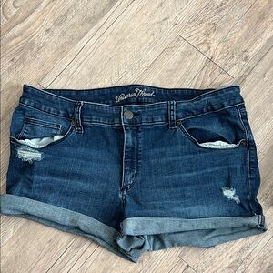 Universal Thread Women's Dark Blue Jean Shorts